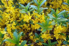 ����Ͽ��¬���ض��������ֲ�����¸���ÿĶ��������1��Ԫ����