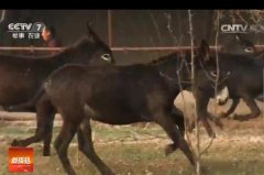 [�Ƽ�Է]������¿����¿���� ���� ���� һ�н�һ��