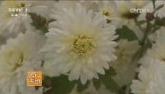 [ũ�����]��ջ���ֲ���ӹ�������Ƶ