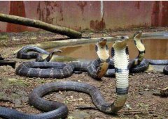 Ϳ��־��������Ч���һ�����������Ԫ