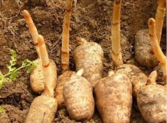 ������ϵķ��η���