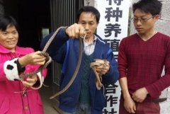 ����ÿ��80Ԫ,��Ƥÿ��5Ԫ,������������׬15��