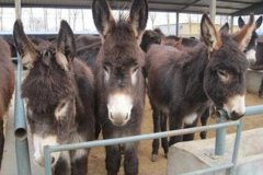 ��¿��ι�н��������ϡ����ա������û��Ҳ�ϱ족