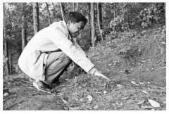 ���������ڸ�����ÿ��������40Ԫ ĶЧ���6000Ԫ