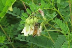 ������ֲһĶ����Ҫ��������?��������Ƕ���