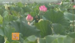 ������ֳˮ��׬Ǯ����ź ˮ�� ��������������