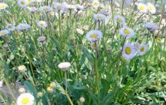 ��յ����ֲһ���ո�3-5�� Ķ����7000-8000Ԫ