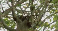 ���¸������������:��Ǯ�͵����ڳ�����