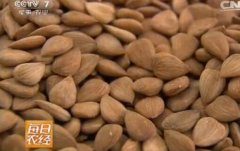 ��ɽ��ֲ���ӱ�׬����Ǯ