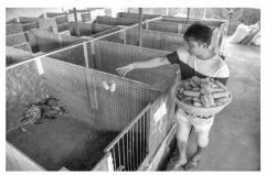 ������ֳ����ƶ һ���¸���С��