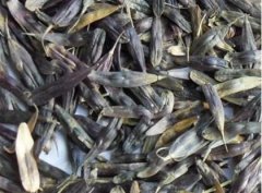 ���������ӵ��������Ƕ��?