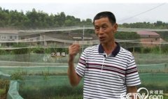 [�¸���]���������ĵ¸����� ǧ��Ƹ�ɹ����