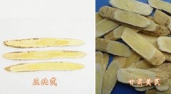 ʲô���Ļ������