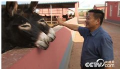 [�¸���]������¶����¿ ��¿������2000�����ҵ����