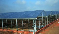 ��������������֥ �Ƚ�Լ�õ���Ч���