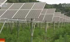 [�Ƽ�Է]�������������ֲ��֥