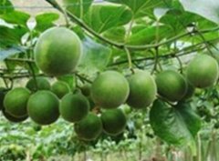 ������ֲ��ʡʱ��ʡ��һĶ��Ч��5000��Ԫ