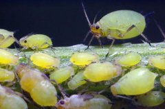 ��������ķ��η���