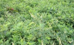 �½���ƶ����������ֲ һĶ����5000��Ԫ