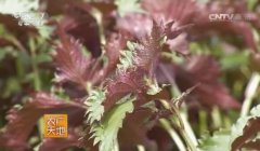 [ũ�����]���ռӹ������ս�����������