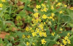 �����ʩ�ʼ���Ҫ��