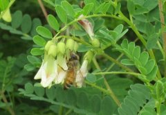 ���κͱ�����ʲô����