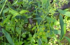 <b>���С�������緽��</b>