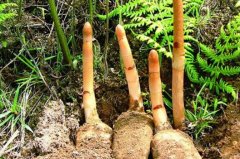 <b>�������Ǯһ��?һ�Ѳ����Ƕ���</b>