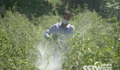 <b>��ɫʱ��:������۸� �������桢ľʭ�����������</b>