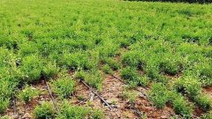 <b>��������ʩ�ʲ�����</b>