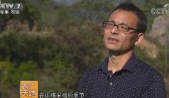 <b>[ũ�����]����MBA��ǧ�￿�ӹ�ɽ髾�����900��</b>