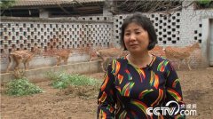 <b>[�¸���]��ǿŮ���Թ����ɽ��ֳ÷��¹�����ǧ���</b>