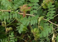 <b>������ڲ��ķ��η���</b>