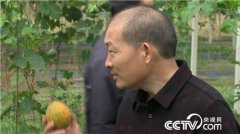 <b>����Խ����Խ��׬Ǯ��ɽ��������Т����ֲ��¥һ������800��</b>