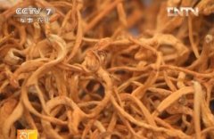 <b>[ũ�����]��������༼����Ƶ</b>