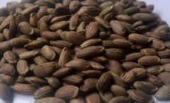 <b>�����Ѷ���Ǯһ�������һĶ�����Ƕ���</b>