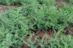 <b>�����������ʱ��ͷ���</b>