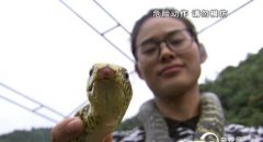 <b>[�¸���]�Ĵ���Ů������������ ����Ƹ�ɽ����</b>