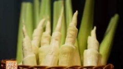 <b>[ÿ��ũ��]������������Ч��� һĶ�������Ԫ</b>