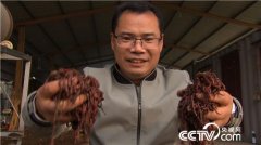 <b>[�¸���]ɽ�������Գ����������׬Ǯ ����ɸ��500��</b>