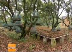 <b>[�Ƽ�Է]����������Ƥʯ�����������������༼����Ƶ</b>