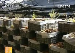 <b>[ũ�����]�������༼����Ƶ</b>