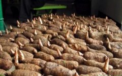 �����ʺ�ʲô�ط���ֲ����Ҫʲô������