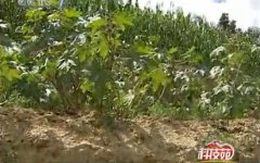 �Ƽ�Է������߲����༼��