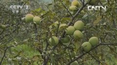 <b>ľ����ֲһĶ�ص������Ƕ���</b>