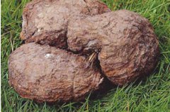 <b>����ɽ����������������������ţ,�����¸�·</b>