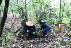 <b>������ɳ������潨������ֲ�и��У�һƽ�����������ǧԪ</b>