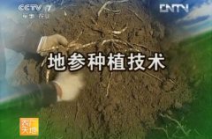 <b>[ũ�����]�ز���ֲ������Ƶ</b>