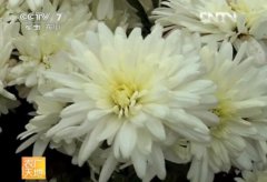 ��ջ�����������ӹ�������Ƶ