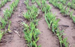 <b>�������������ʱ��ͷ���</b>